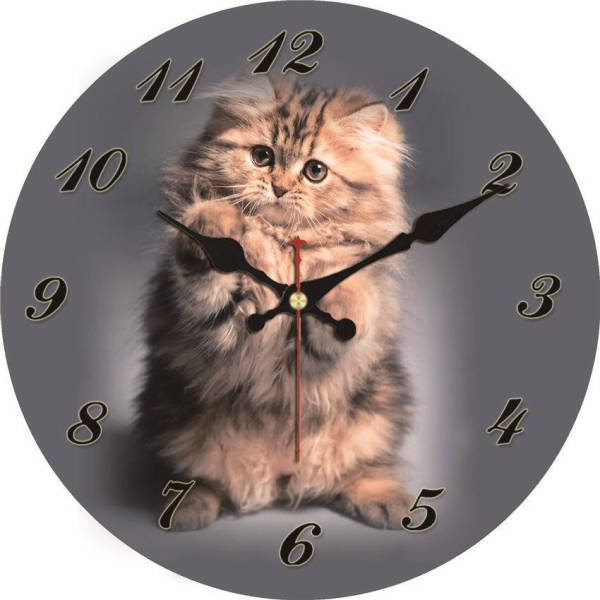 Ronde wandklok met foto van kitten